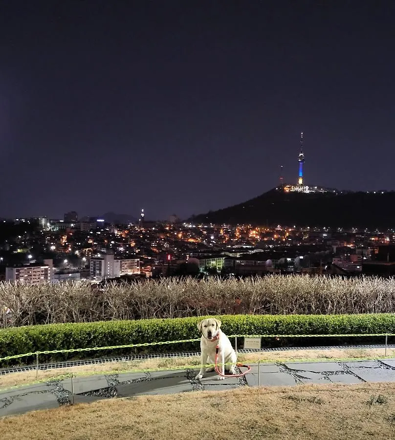 Hidden Ruby Apartment Seoul South Korea